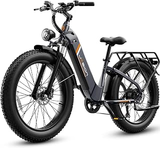 Jasion Thunder Electric Bike 1800W Peak Fat Tire